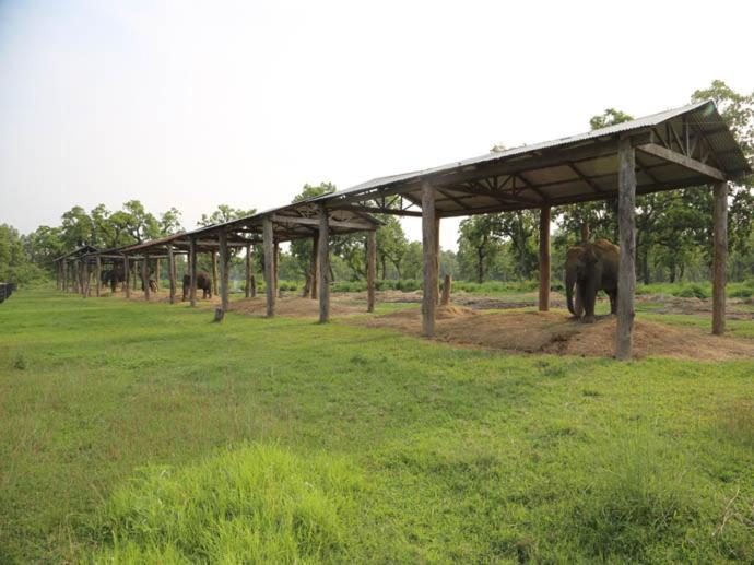 Hotel Royal Safari Chitwan Luaran gambar